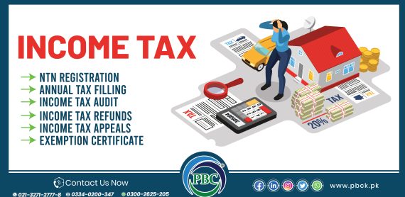 Income Tax Sales Tax Consultant