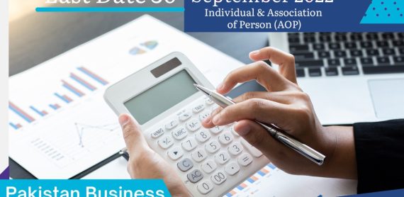 annual income tax return of an individual & company SErvices
