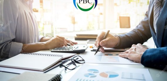 income Tax Sale Tax Consultant